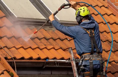 Démoussage et hydrofuge de toiture à Thézac